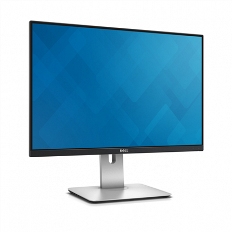 Monitors UltraSharp U2415 24 ", In-plane switching, anti glare with hard coat 3H, Full HD, 1920 x 1200 pixels 210-AEVE