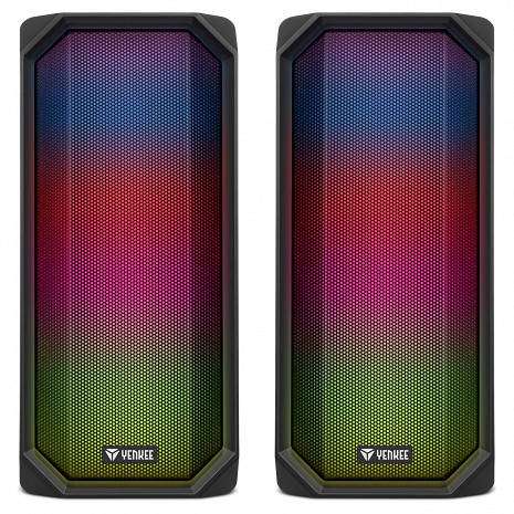 Datora skaļruņi  YSP 2004 RGB