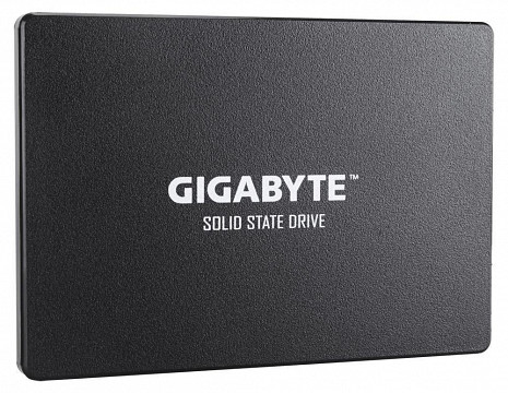 SSD disks  GP-GSTFS31100TNTD
