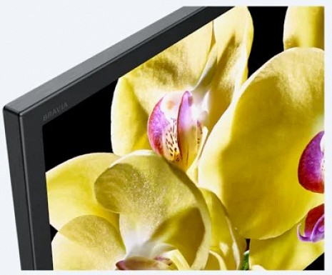 LED Televizors  KD-49XG8096