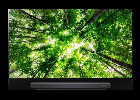 OLED Televizors OLED65G8PLA OLED65G8PLA