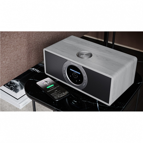 Interneta radio ar bluetooth DR-I470(GR)PRO DR-I470(GR)PRO