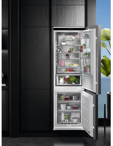 Ledusskapis  TSC8M181DS