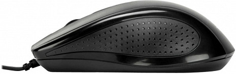 Datorpele  AMU81AMGL