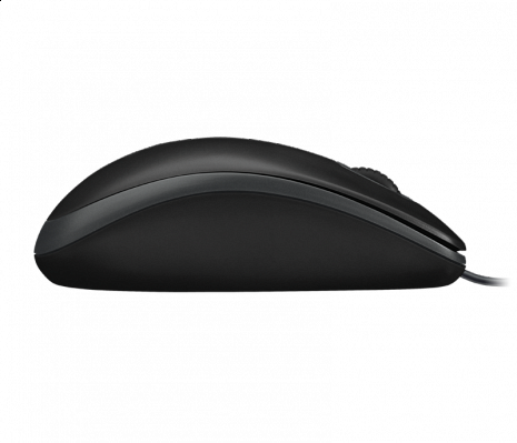 Datorpele B100 Pele/910-003357