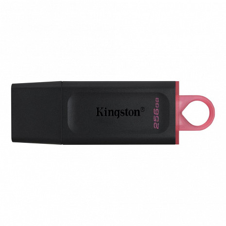 USB zibatmiņa MEMORY DRIVE FLASH USB3.2/256GB DTX/256GB KINGSTON DTX/256GB