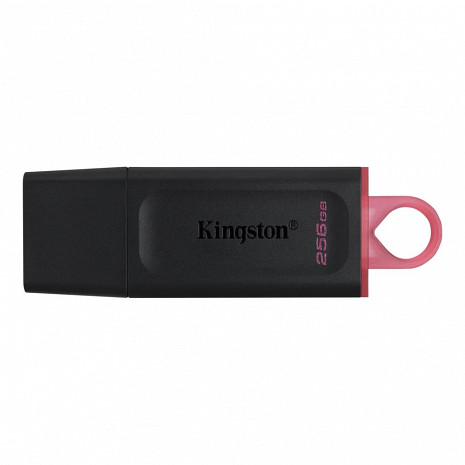 USB zibatmiņa MEMORY DRIVE FLASH USB3.2/256GB DTX/256GB KINGSTON DTX/256GB