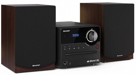 Mikro Hi-Fi sistēma XL-B517D XL-B517D(BR)