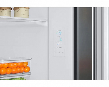 Ledusskapis  RS67A8810S9/EF