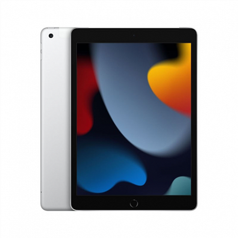 Планшет iPad 10.2" LTE MK493HC/A