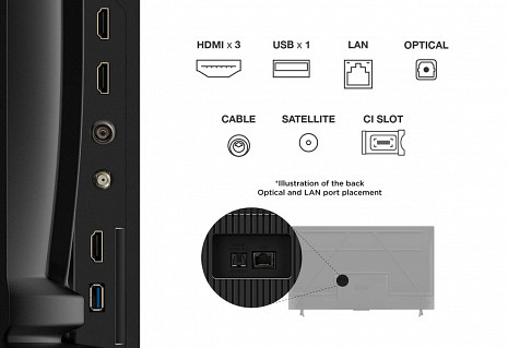 Телевизор  55V6C