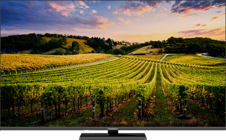 QLED Televizors  43QG5C14
