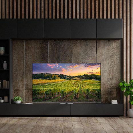 QLED Televizors  65QG5C14