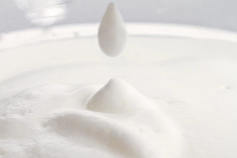 Piena putotājs Milk Twister CA6500/63