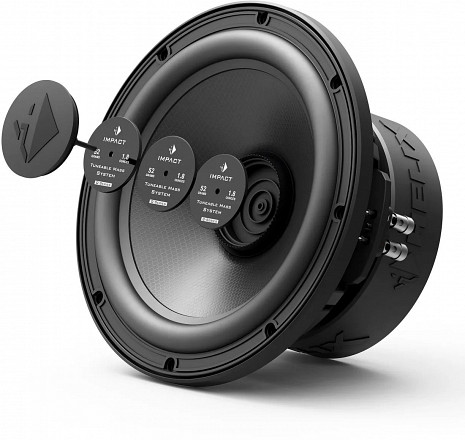 Автосабвуфер  IQ W10-DVC2