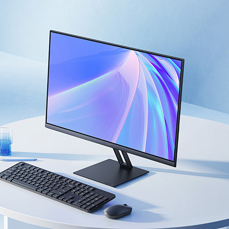 Monitors P24FBA-RAGL ELA5444EU