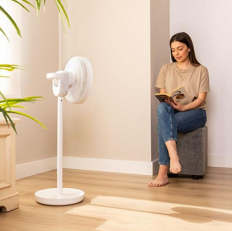 Gaisa ventilators  8243