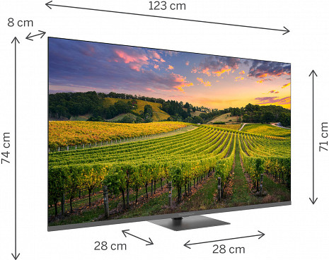 QLED Televizors  55QG5C14