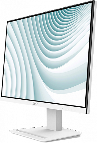 Monitors  PRO MP243XW