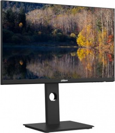 Monitors  DHI-LM24-P301A