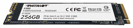 SSD disks P300 P300P256GM28