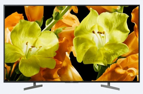Телевизор  KD43XG8196BAEP