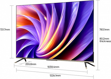 QLED Televizors  55Q100