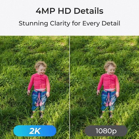 Iekštelpu IP kamera E Series E330 WCEP5MP04PTW