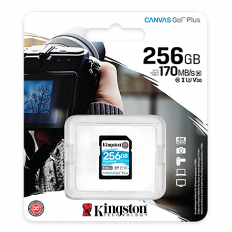 Atmiņas karte Kingston Canvas Go! Plus 256 GB, SD, Flash memory class 10 SDG3/256GB