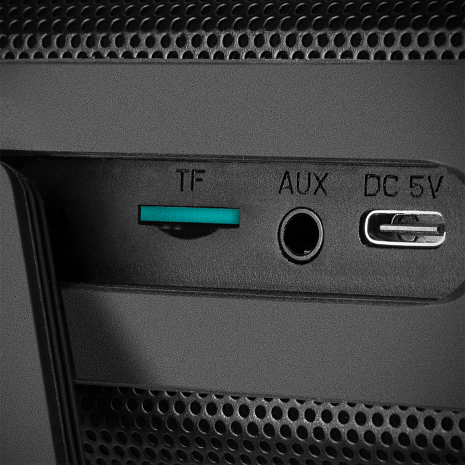 Portatīvais skaļrunis  PS-165 Black