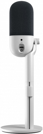 Mikrofons  10MAI9901