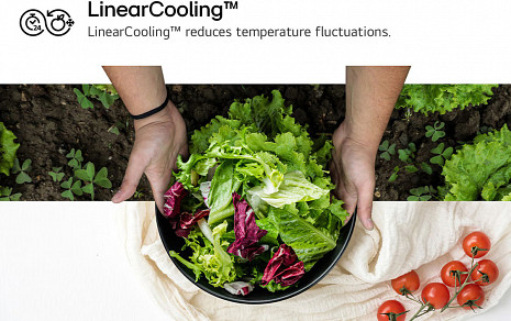 Ledusskapis  GSXE91EVAD