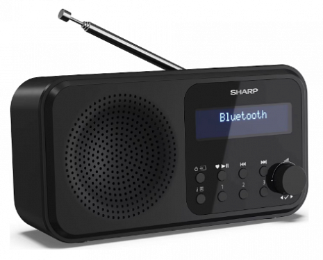 Radio ar bluetooth  DR-P420(BK)