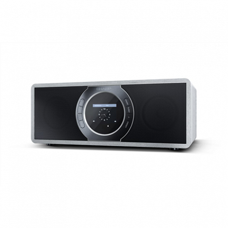 Interneta radio ar bluetooth DR-I470(GR)PRO DR-I470(GR)PRO
