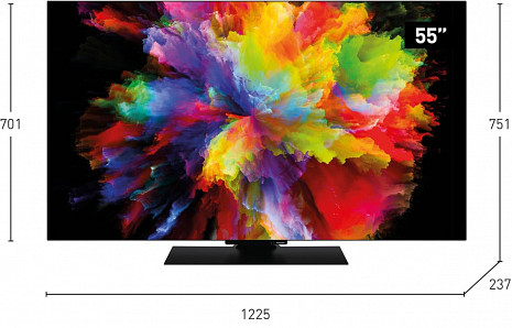 OLED Televizors  TV-55Z80AEZ