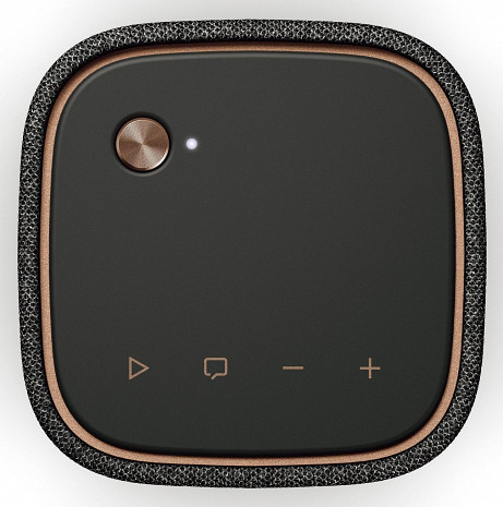 Portatīvais skaļrunis  WS-B1A CGY