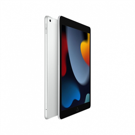 Планшет iPad 10.2" LTE MK493HC/A