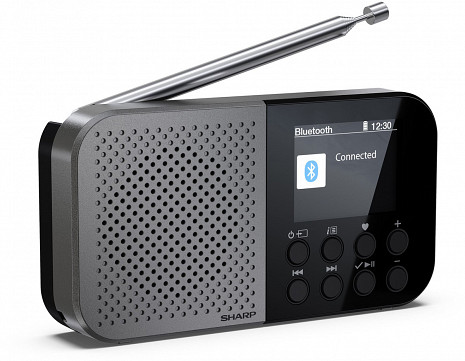 Radio  DR-P520(GY)