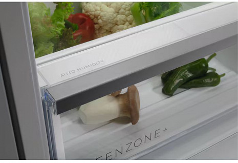 Ledusskapis  TSC8M181DS