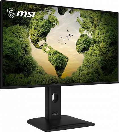 Monitors  PRO MP275PGN E14