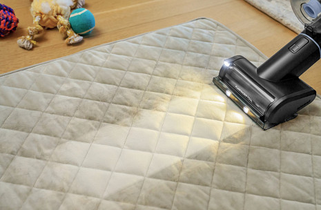 Spieķa puteklu sūcējs PowerClean FurFinder Select 4090N