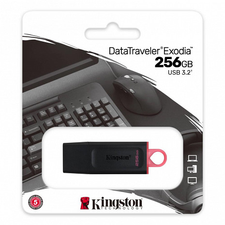 USB zibatmiņa MEMORY DRIVE FLASH USB3.2/256GB DTX/256GB KINGSTON DTX/256GB