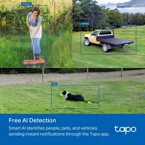 Ārtelpu IP kamera  TAPO C501GW