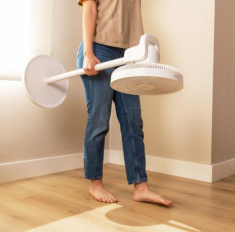 Gaisa ventilators  8243