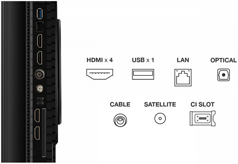 QLED Televizors  65P8K