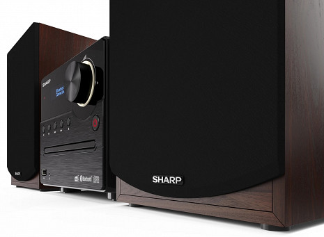 Mikro Hi-Fi sistēma XL-B517D XL-B517D(BR)