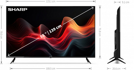 LED Televizors  55GL4060E