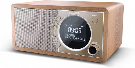 Radio modinātājs ar Bluetooth  DR-450(BR)