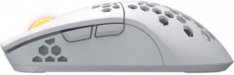 Bezvadu datorpele HTM-551 Stellar PRO Pele_981013