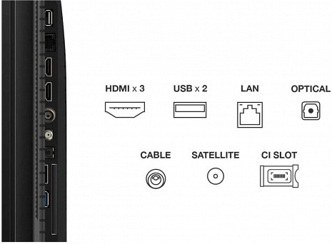 QLED Televizors  43T69C